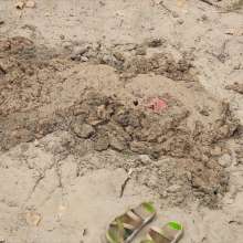 QS4Ever: Lucy Kitty in Beach Sand Trap