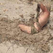 QS4Ever: Lucy Kitty in Beach Sand Trap
