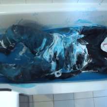 Cutiepied-production: Lulu 7 : Slime Bath