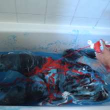 Cutiepied-production: Lulu 7 : Slime Bath