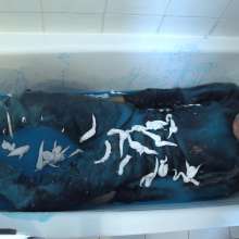 Cutiepied-production: Lulu 7 : Slime Bath