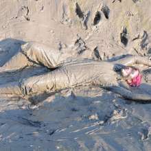 DungeonMasterOne: Maude in the Mud in Flexothane Dungarees!