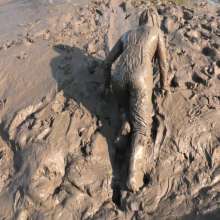 DungeonMasterOne: Maude in the Mud in Flexothane Dungarees!