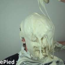 Cutiepied-production: Roddy 15 : Massive Pie Massacre