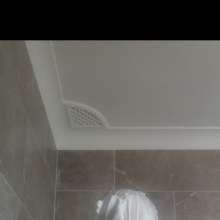 AussieWammer87: First time getting pied