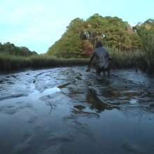 TannerQS: Skinny Dipping in Tidal Mud at Night