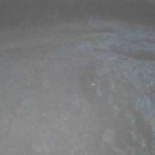 TannerQS: Skinny Dipping in Tidal Mud at Night