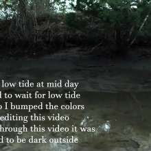 TannerQS: Skinny Dipping in Tidal Mud at Night