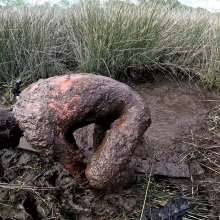 TannerQS: Tanner Is Peat Bog Crazy!