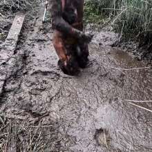 TannerQS: Tanner Is Peat Bog Crazy!