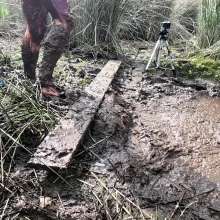 TannerQS: Tanner Is Peat Bog Crazy!