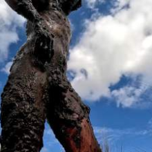 TannerQS: Tanner Is Peat Bog Crazy!