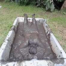 Darkabyss445: Topless Sensual Mud Fun