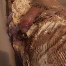 Kelly-Le-Frock: TS POV Sploshing in the Bath : Custard, Pies, Trifle XXX