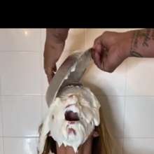 Slimed Models: Vivi Gets Glammed up to Be Pied