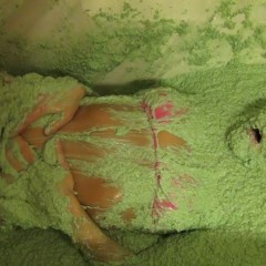 Jayce: Jayce-Hogtied, Bikini, Bath full of Green Oats gets free&frisky!