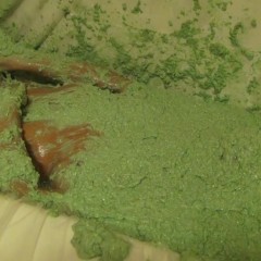 Jayce: Jayce-Hogtied, Bikini, Bath full of Green Oats gets free&frisky!