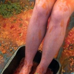 Djmeak: massive sale ON AT gunkedupgirls.com