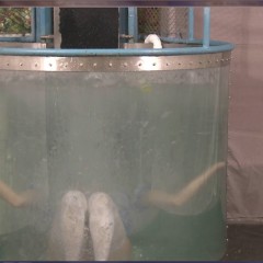doctor_splash: New Dunk Tank Downloads