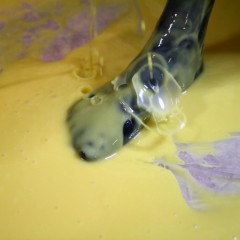 adamw: Jilly playing in custard with her feet