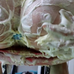 Nick: No Butts. Please help.