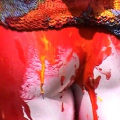 FOXY: Crazy duo covered paint