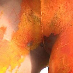 FOXY: Duo covered paint