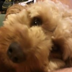 MJDjessica25.umd.net: 