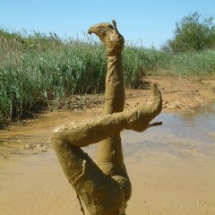 TF_Griffin: Headstand/handstand/headfirst?