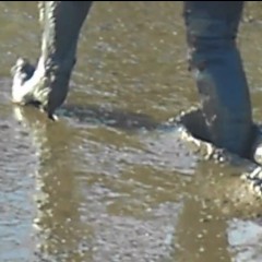 wetmart2240: Wife's Muddy Boots