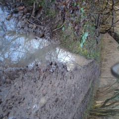wetmart2240: New Mud Find