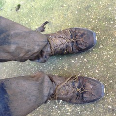 wetmart2240: New Mud Find