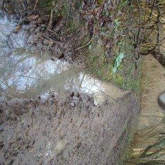wetmart2240: New Mud Find