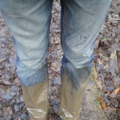 wetmart2240: New Mud Find