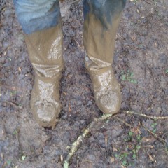 wetmart2240: New Mud Find