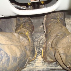 wetmart2240: New Mud Find