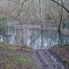 wetmart2240: New Mud Find