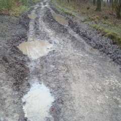 wetmart2240: Muddy walk with deep puddles