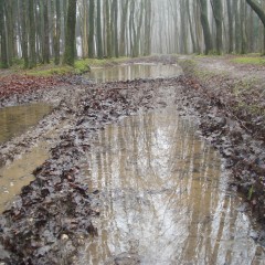 wetmart2240: Muddy walk with deep puddles