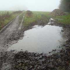 wetmart2240: Muddy walk with deep puddles
