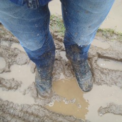 wetmart2240: Muddy walk with deep puddles
