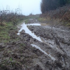 wetmart2240: Muddy walk with deep puddles
