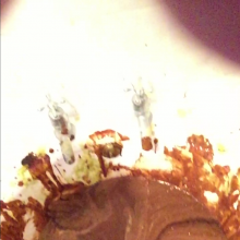 Freddyblatt: Mrs Freddy Blatt's Messiest Session Yet