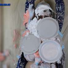 MessyCleo: Cleo is tied with ropes and gets pied with multicoloured shaving foam.