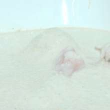 MostWam: Porridge Bath Bundle Amber Chloe And Corrine