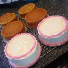 Pattycake: 