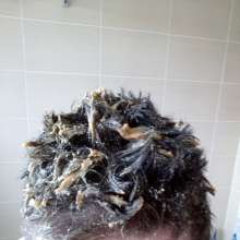 ShampooKing: messy hair finaley