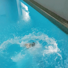 Jens German: The perfect end of a Photo Shooting (gifs)