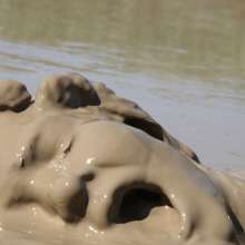 FOXY: last part Ayako mud performance