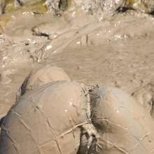 FOXY: last part Ayako mud performance